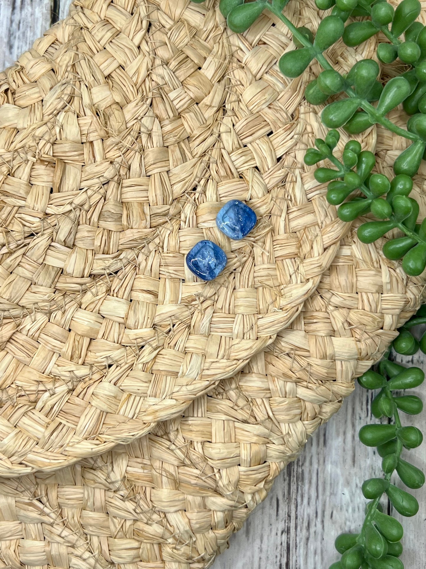 Legacy Ranch earrings – Wrangler school spirit