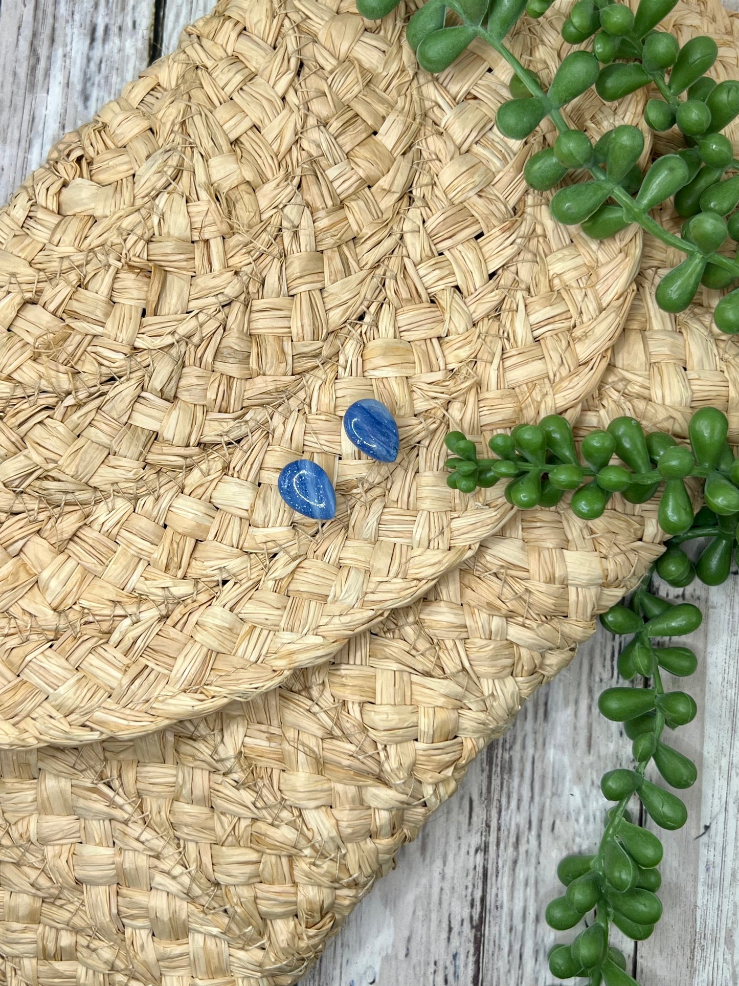 Legacy Ranch earrings – Wrangler school spirit