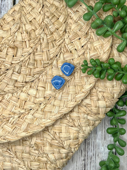 Legacy Ranch earrings – Wrangler school spirit