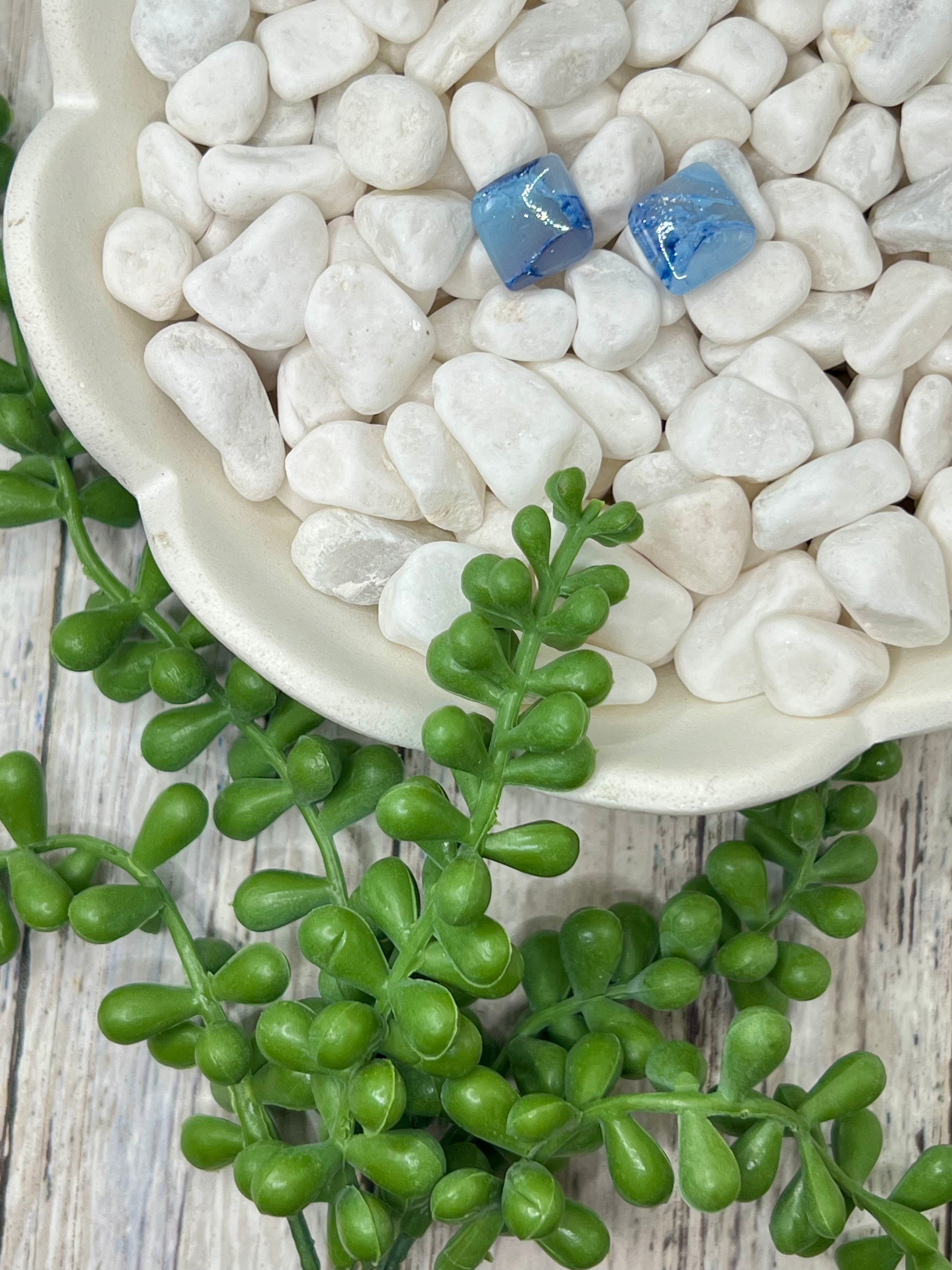 Legacy Ranch earrings – Wrangler school spirit