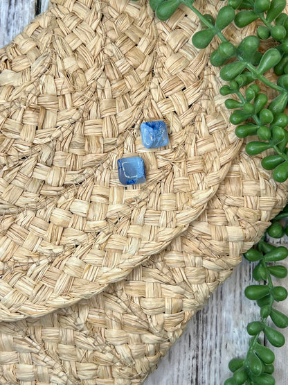 Legacy Ranch earrings – Wrangler school spirit