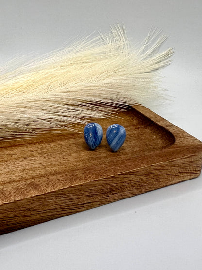 Legacy Ranch earrings – Wrangler school spirit