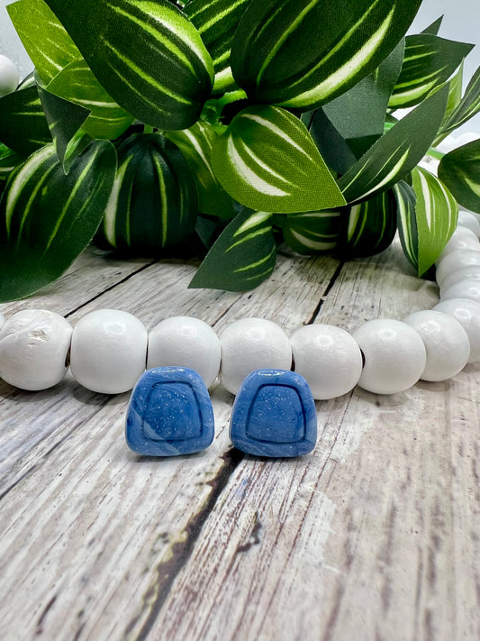 Legacy Ranch earrings – Wrangler school spirit