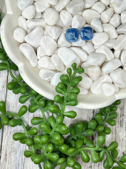 Legacy Ranch earrings – Wrangler school spirit